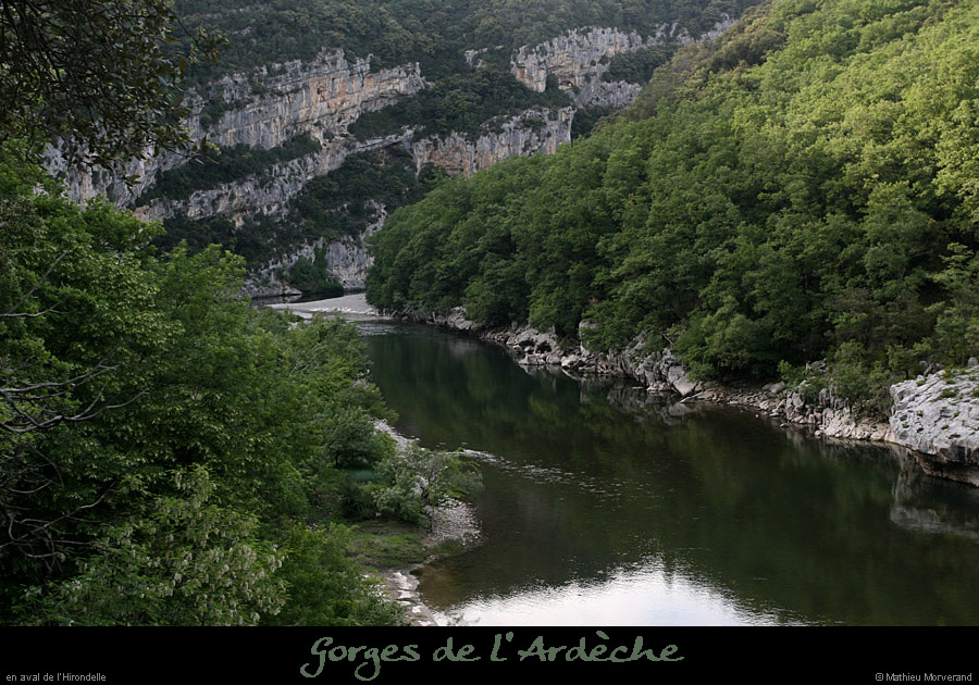 20110427_hirondelleav4
