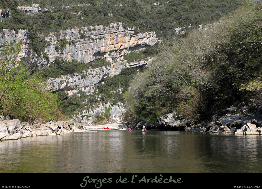 20120401_avhirondelles