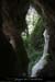 20110427_baumeanemdeladragonniere