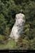 20090820_crxgaudssmourredelatour2
