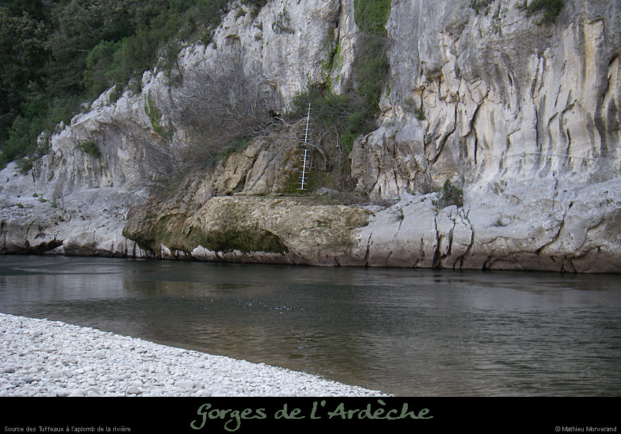 20080318_gaudsudvire6