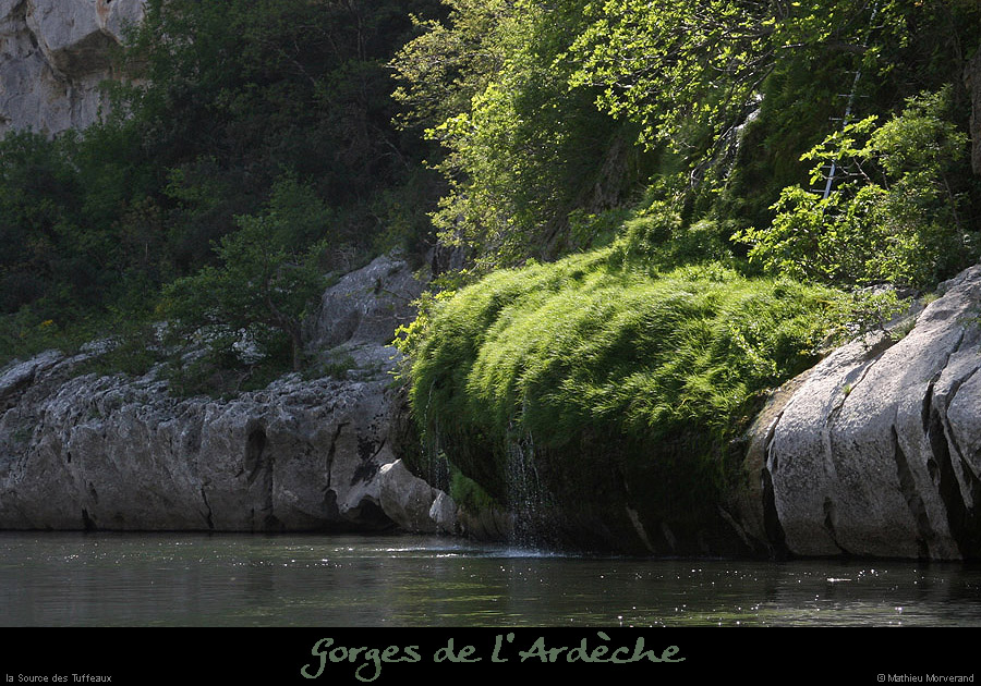 20110421_sourcetuffeaux3