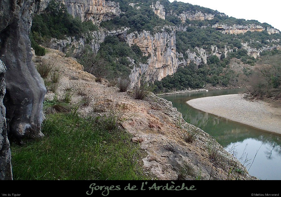 20160103_virefiguier01