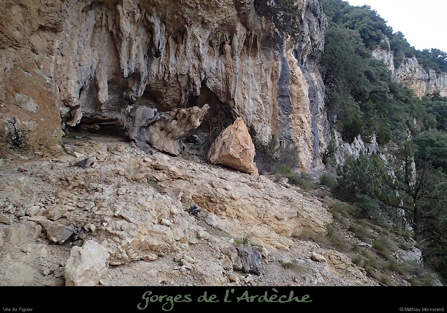 20160103_virefiguier24