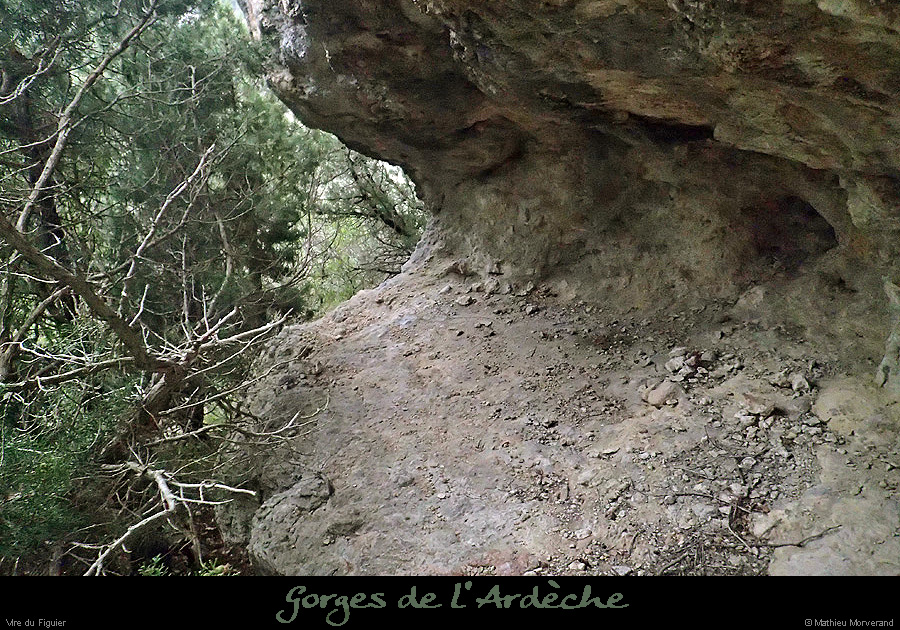 20160103_virefiguier25