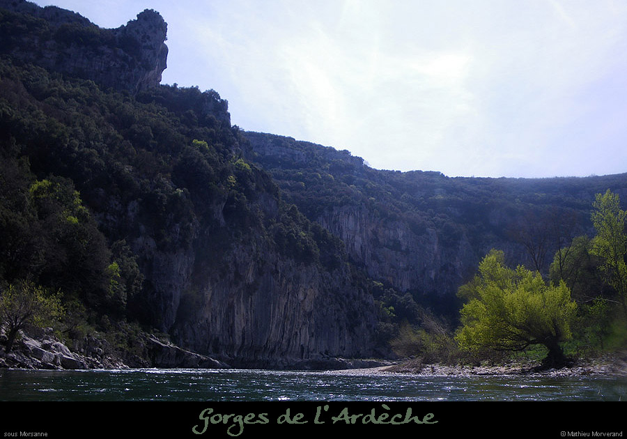 20100411_ammorsanne1