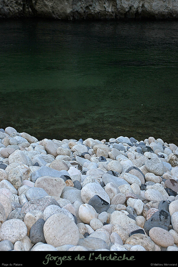 20050102_platane4