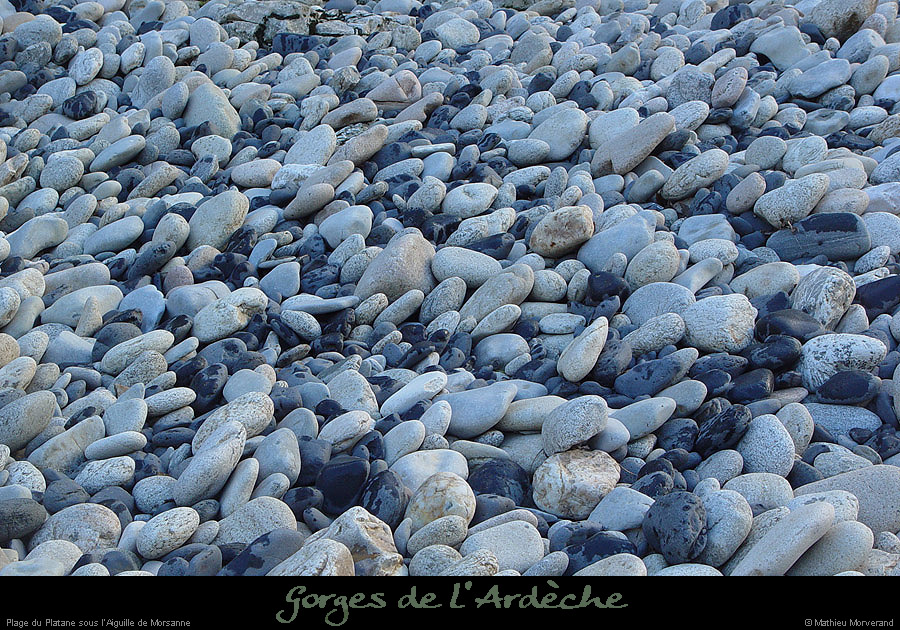 20050102_platane5