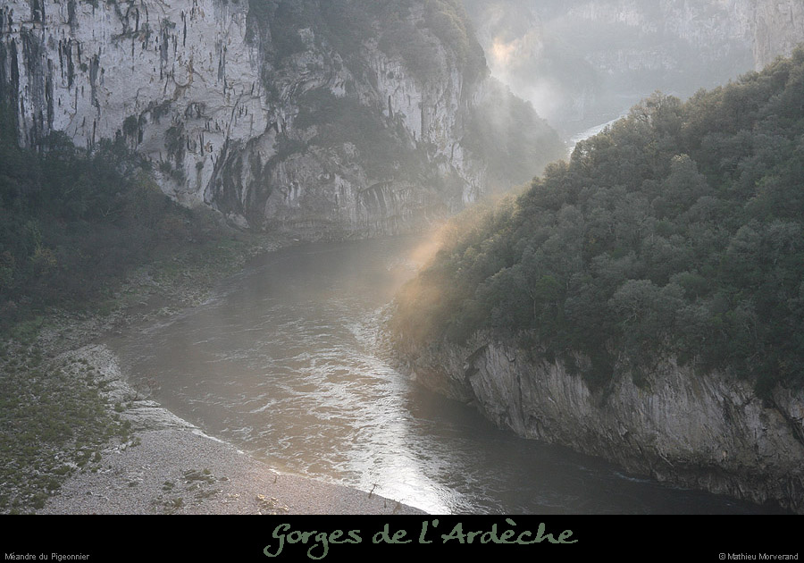 20061203_platane2