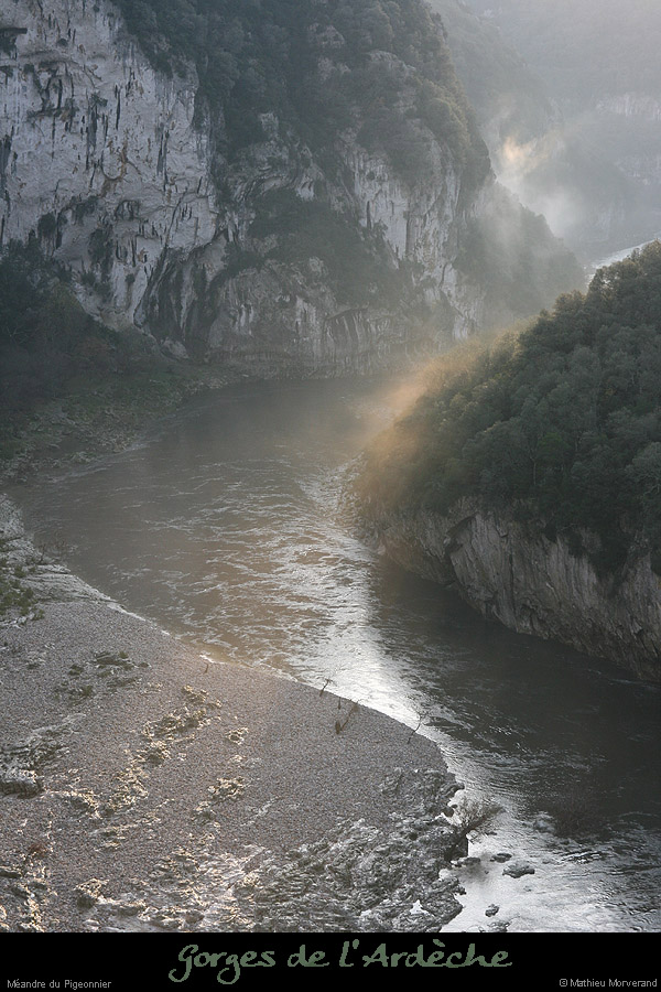 20061203_platane5
