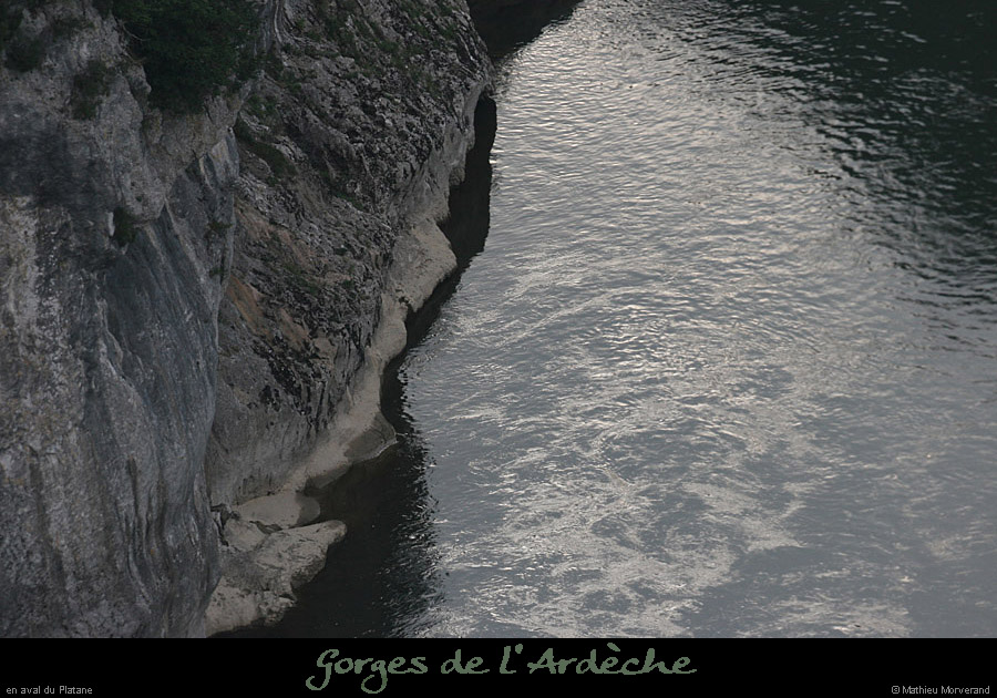 20080927_avalsrcplatane1