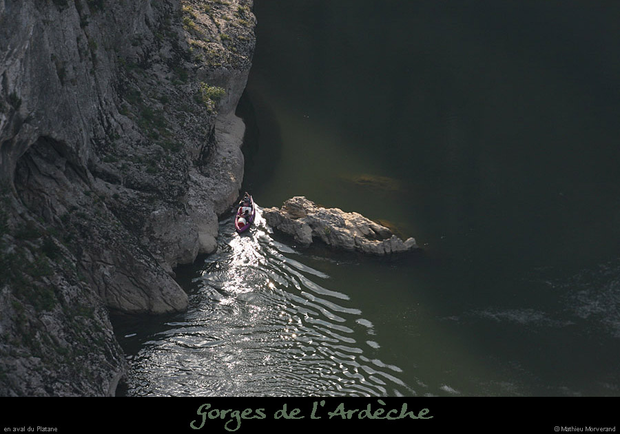 20080927_avalsrcplatane9