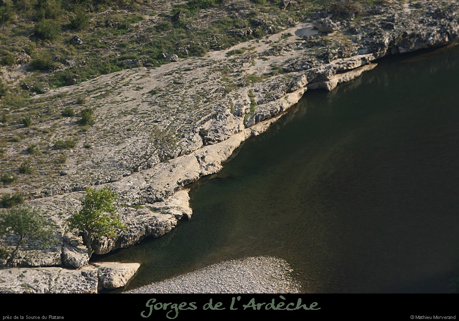 20080927_pressrcplatane