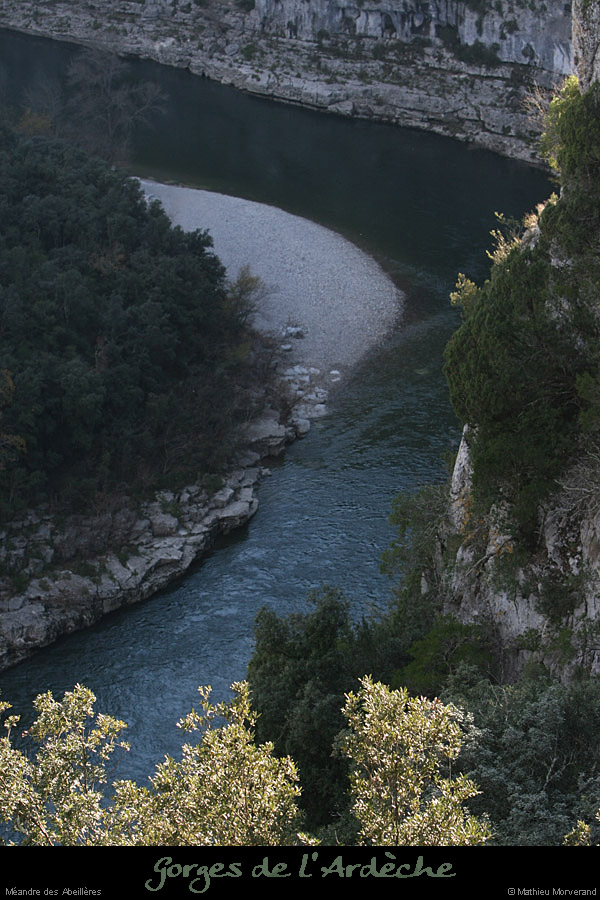 20081116_ssabeilleres