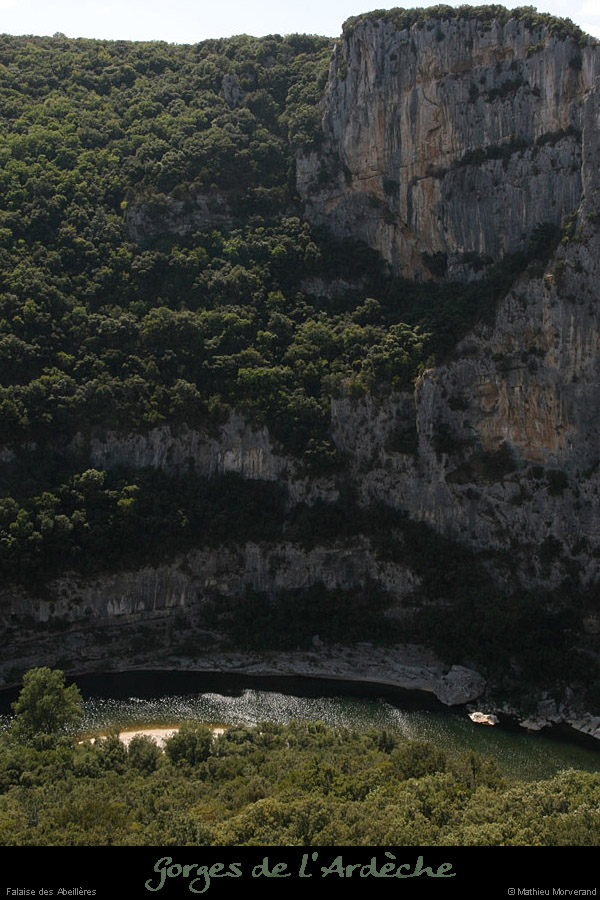 20090721_abeilleresduchanet