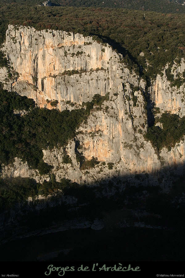 20091227_abeilleres1
