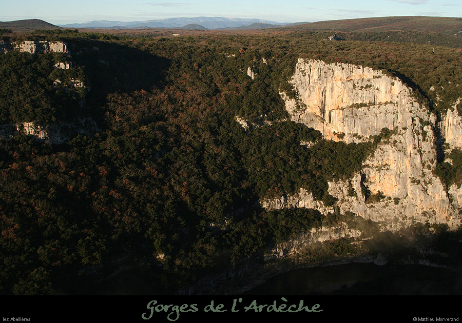 20091227_abeilleres3