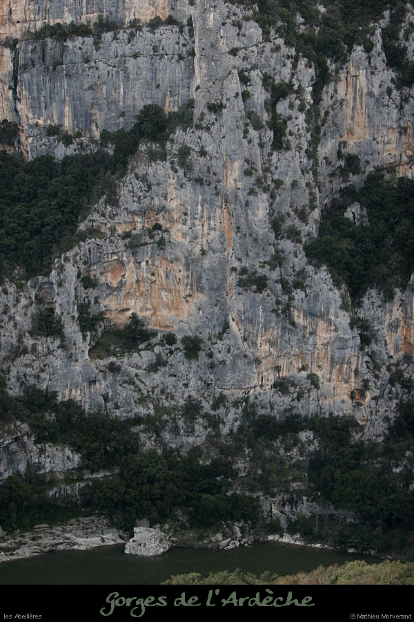 20100327_falaiseabeilleres
