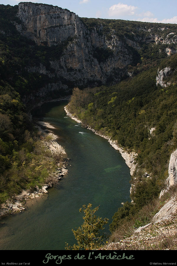 20100413_abeilleresparav