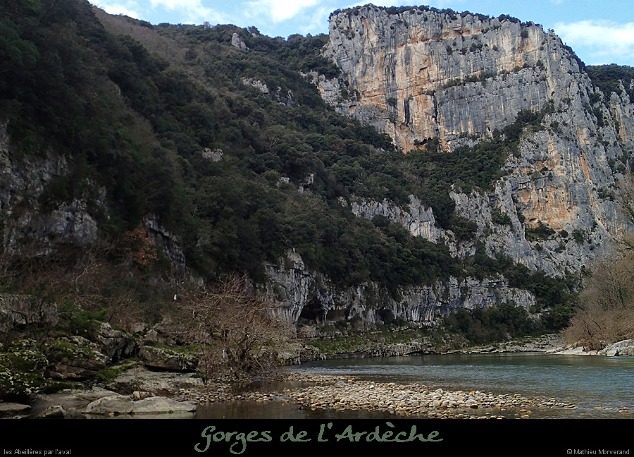 20140222_abeilleresparavdepuisrd2