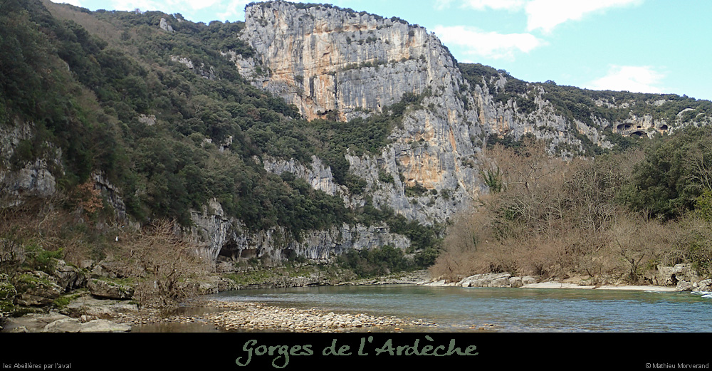 20140222_abeilleresparavdepuisrd3