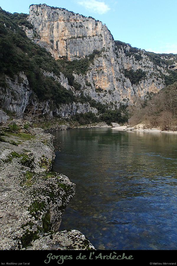 20140222_abeilleresparavdepuisrd5