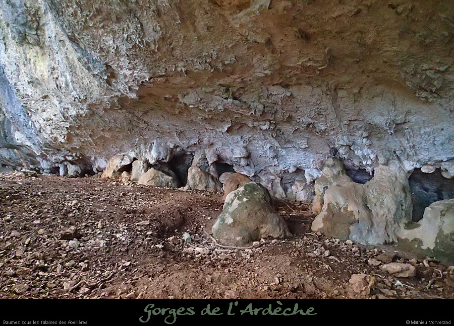 20140222_baumesssfalaisesabeilleres3