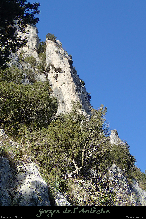 20140222_falaisesabeilleresdepuis pentes