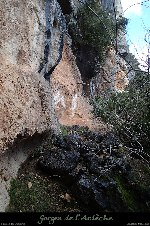 20140222_piedfalaisesabeilleres1
