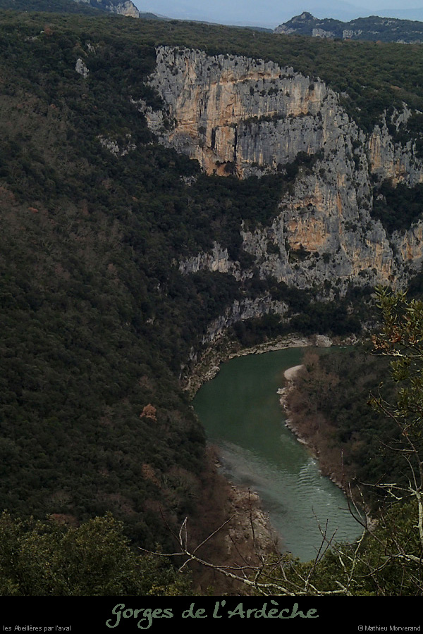 20140227_abeilleresdecornichecourtinen