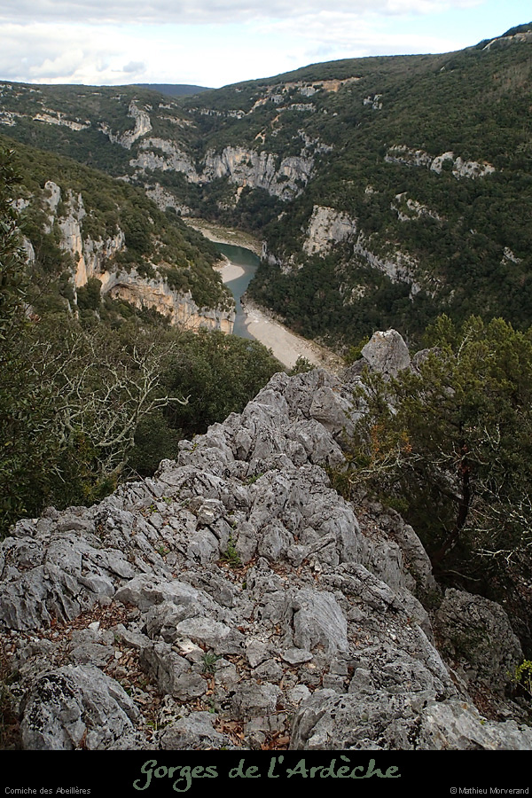 20140301_cornicheabeilleres2