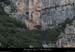 20070807_abeilleresfalaise