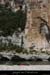 20070807_abeilleresplage