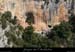 20090709_abeilleresam_baume
