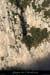 20091227_abeilleres5