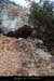 20140222_ouverturessfalaisesabeilleres