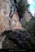 20140222_piedfalaisesabeilleres1
