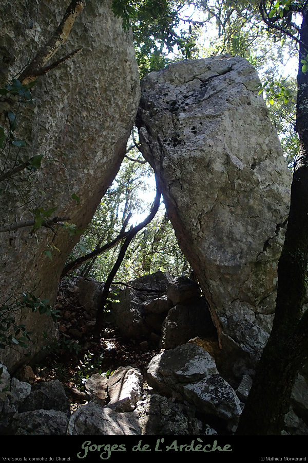 20140323_31