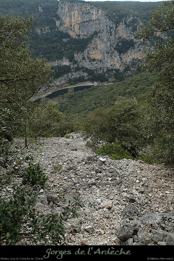 20140330_b022