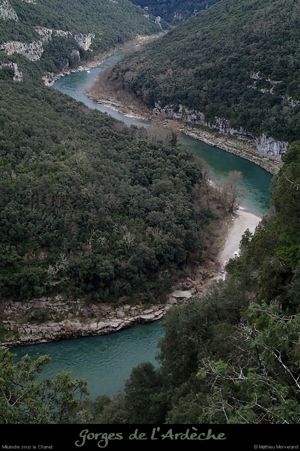 20140301_meandrechanetdecornicheabeilleres1