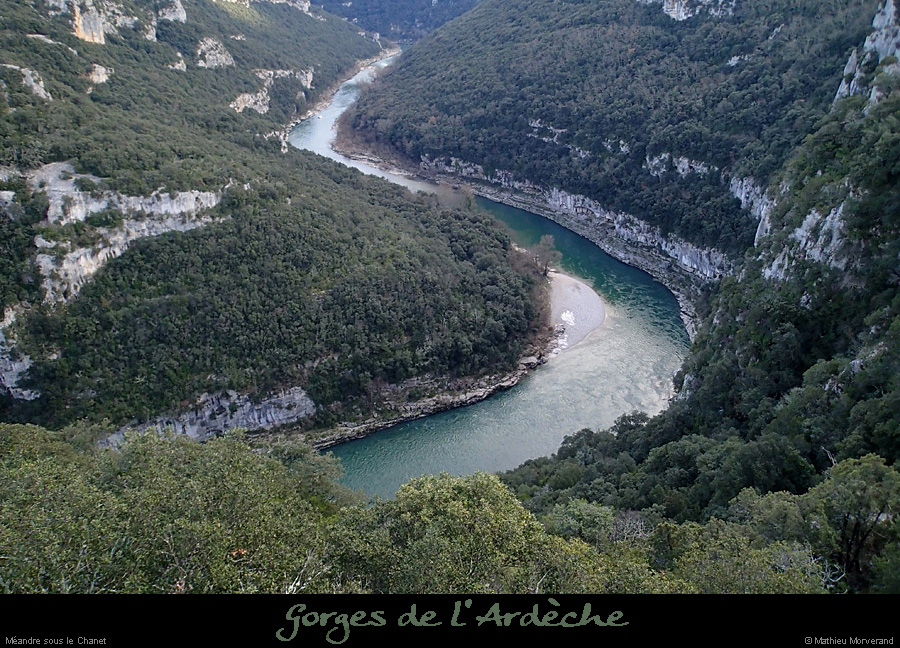 20140301_meandrechanetdecornicheabeilleres5