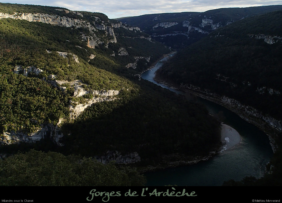 20140301_meandrechanetdecornicheabeilleres7