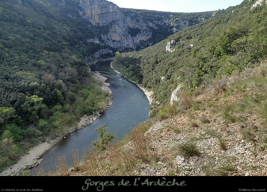 20140405_meandreavabeilleresdepuissentierchanet1