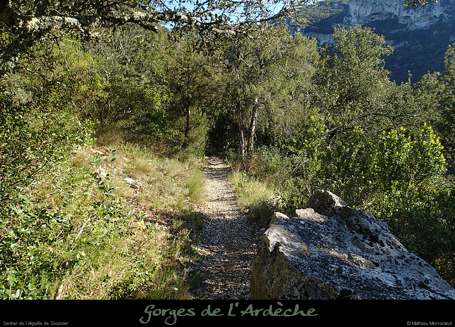 20150406_sentierdelaiguilledegournier