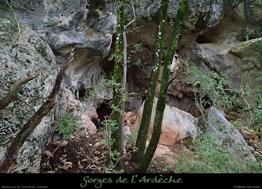 20140227_viresscornichecourtinen_baumec1