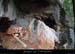 20140227_viresscornichecourtinen_baumec2