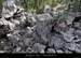 20140304_pointesouscourtinen_borne