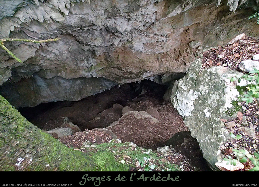 20140227_viresscornichecourtinen_baumea2
