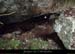20140227_viresscornichecourtinen_baumea3