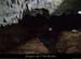 20140227_viresscornichecourtinen_baumea4